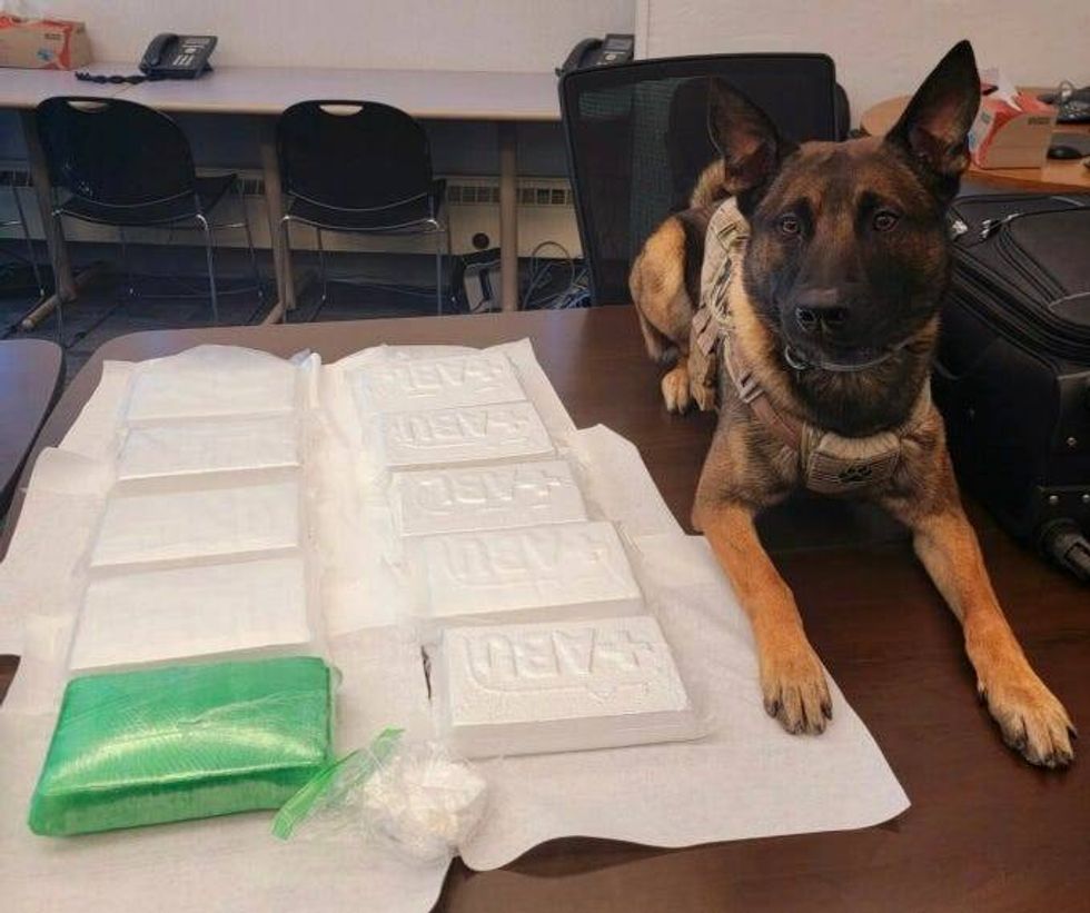 Confiscated drugs