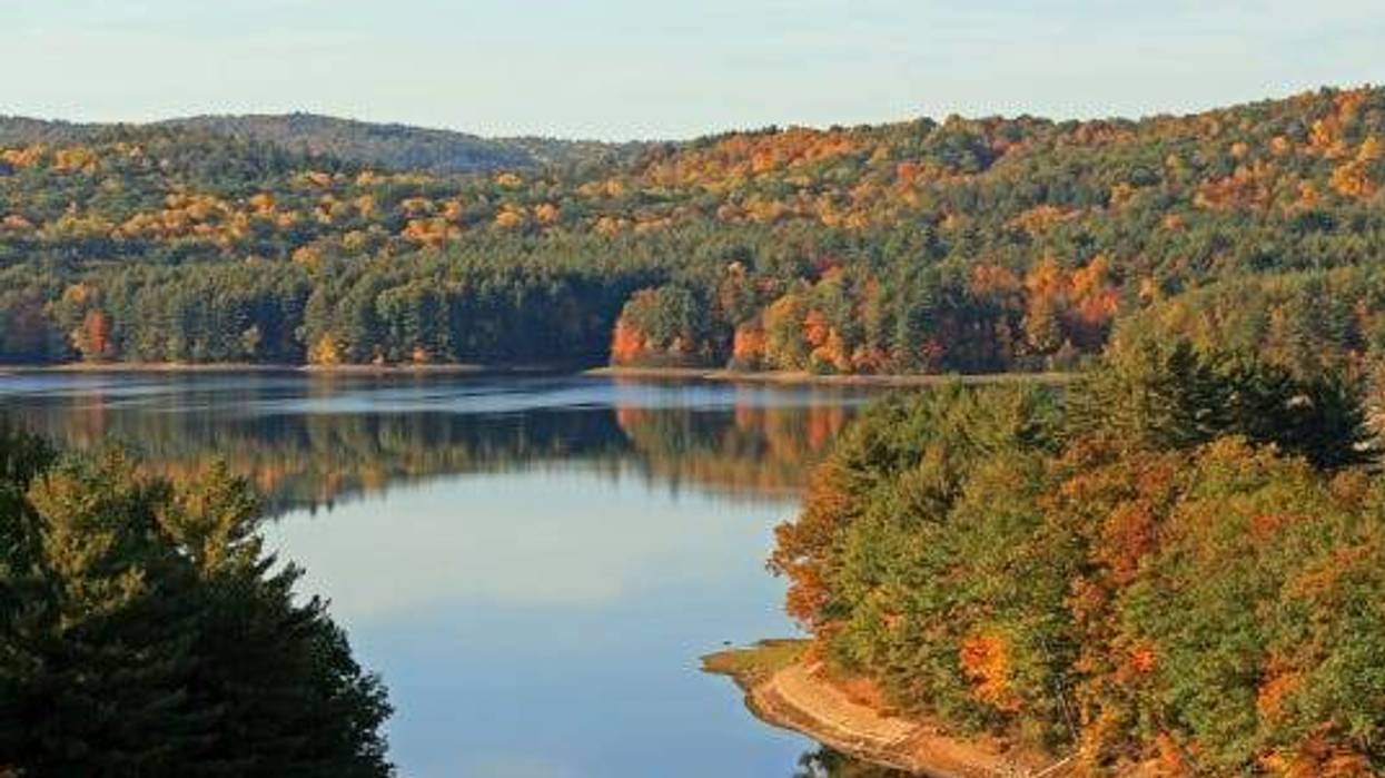 Connecticut Fall Foliage