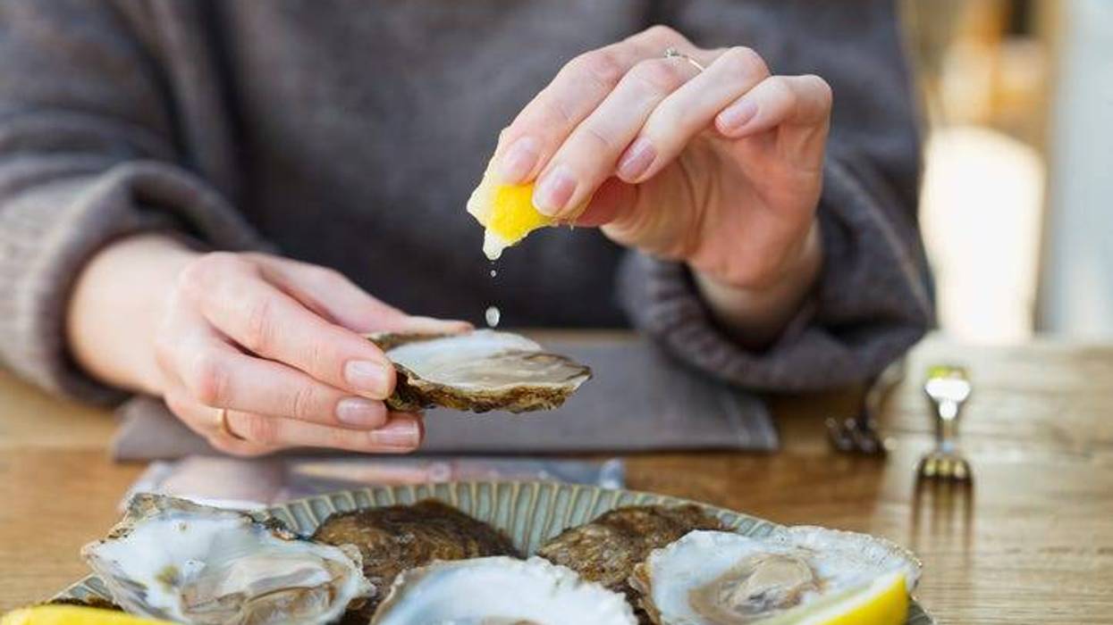 Connecticut Oyster Trail
