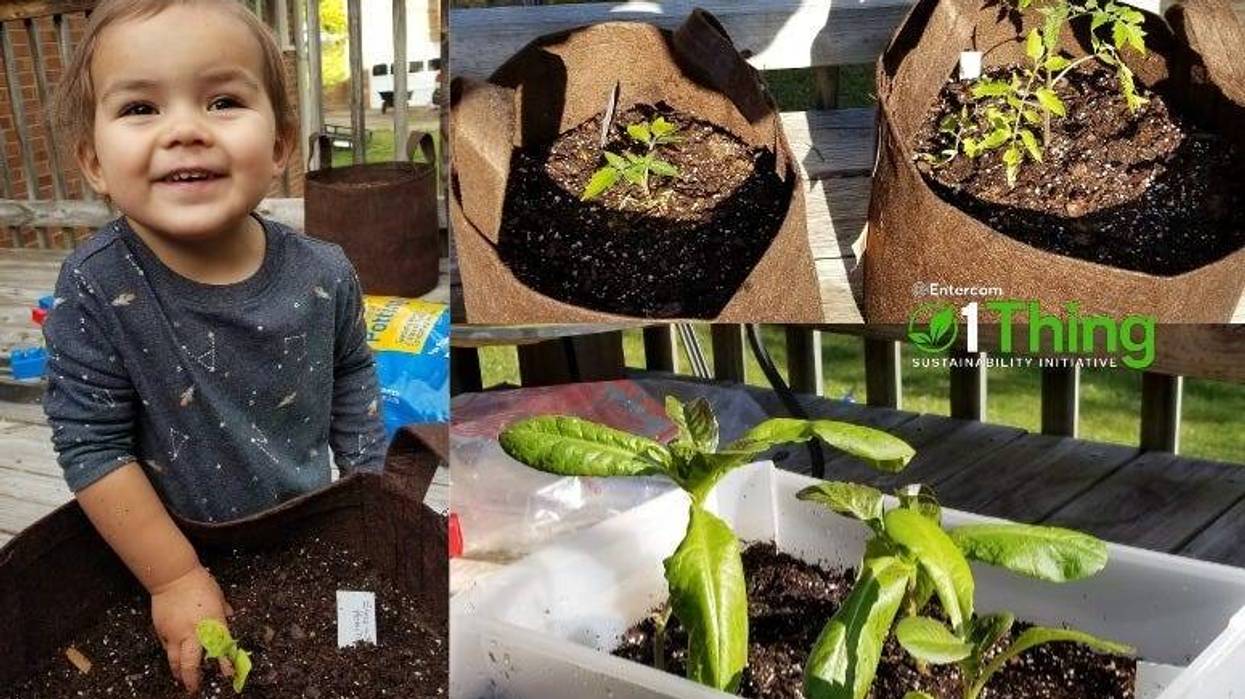 Container Gardening
