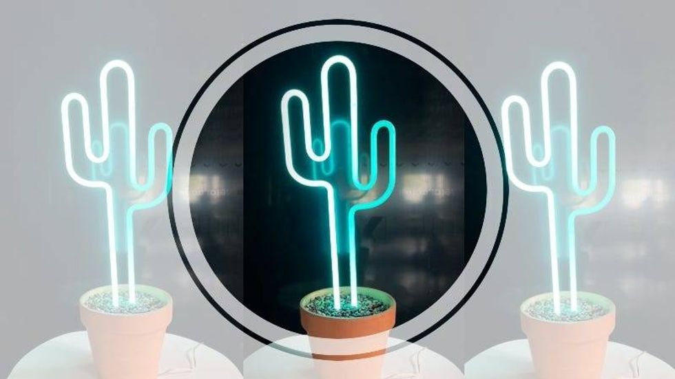 Cool Cute Cactus tripleshot / Ion Art/ Cacuts in a Flower Pot