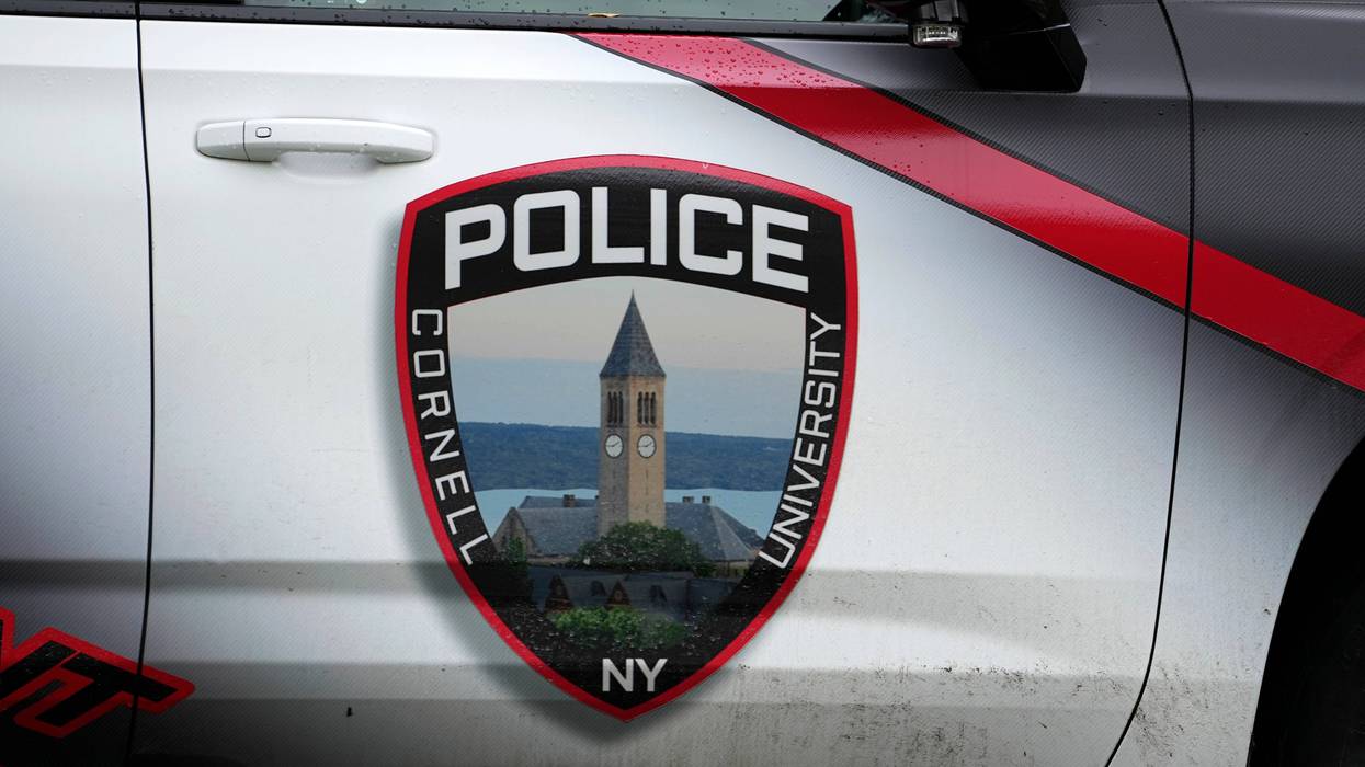 Cornell Investigation