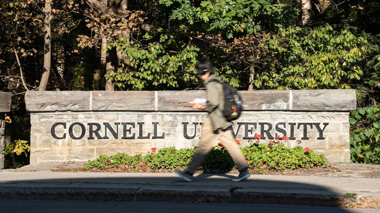 Cornell Investigation