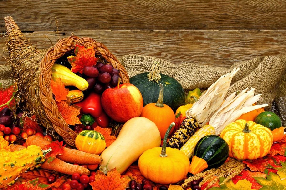 cornucopia