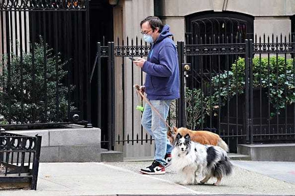 Coronavirus New York man with mask walking dog