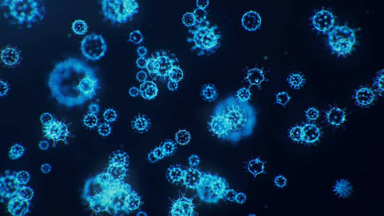 Coronavirus or Covid-19