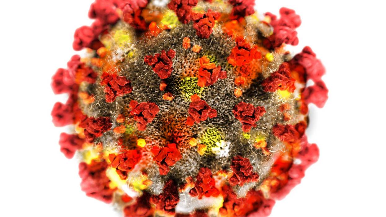coronavirus
