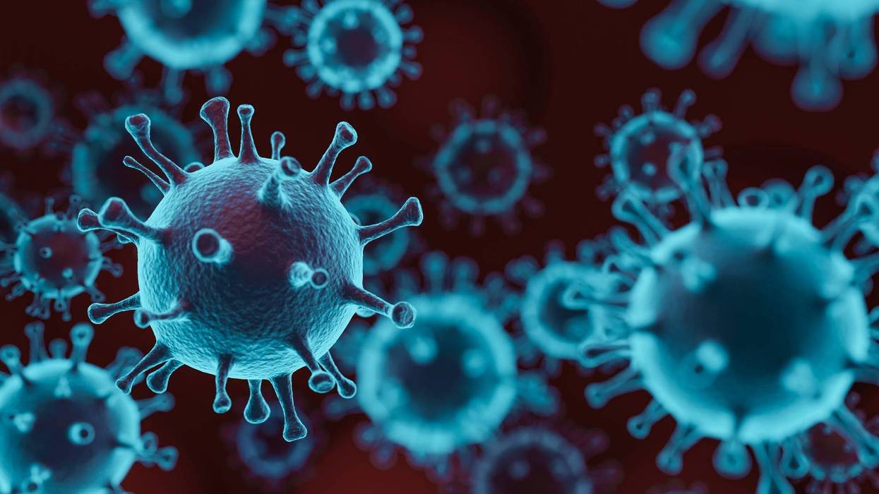 coronavirus