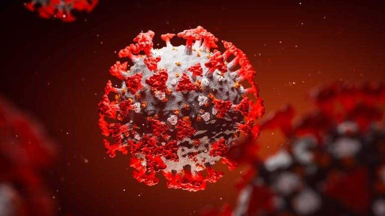 coronavirus