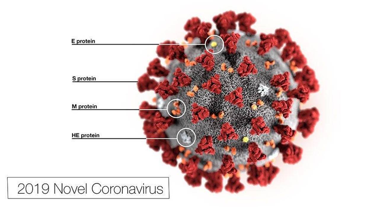 Coronavirus