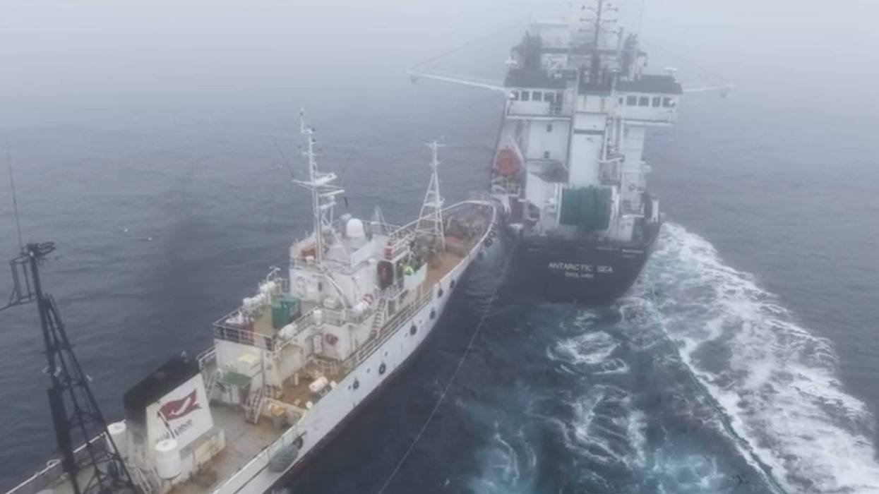 CORRECTION Antarctica Krill Ship Collision