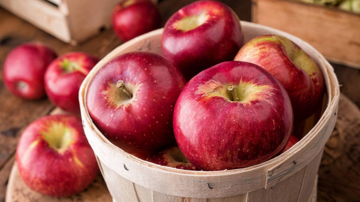 Cosmic Crisp Apple to hit produce departments