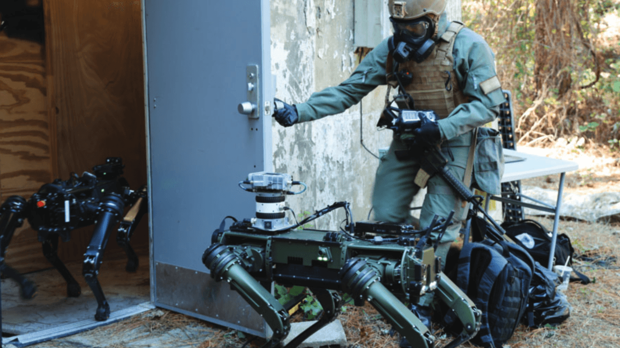 Counter WMD training