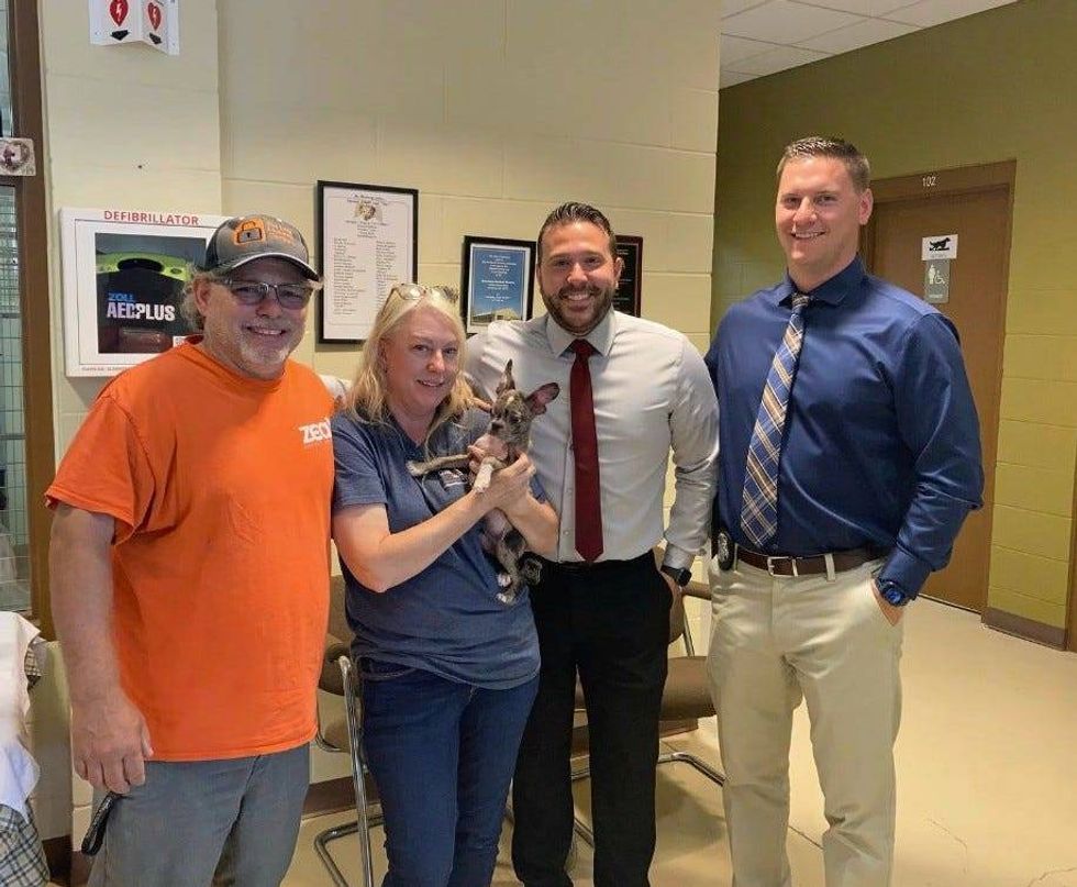 Couple reunited with puppy