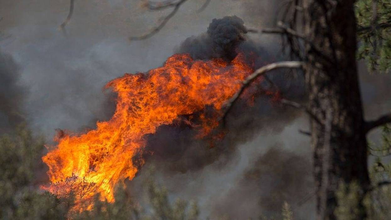 Couple Takes Wedding Photo Amid California Wildfires