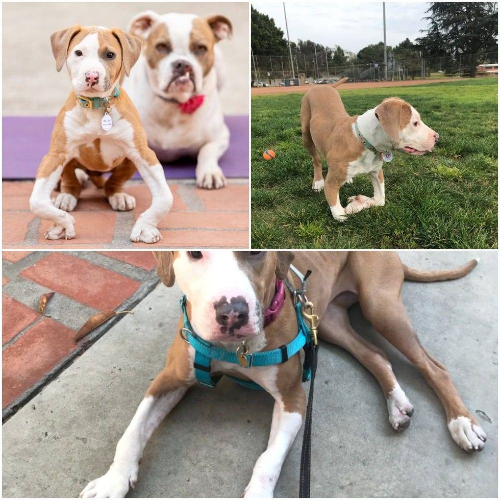 Courtesy of Christine Hilberg