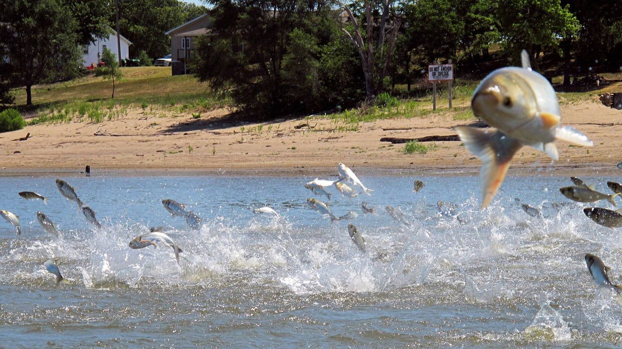 Deal reached on project to protect lakes from invasive fish