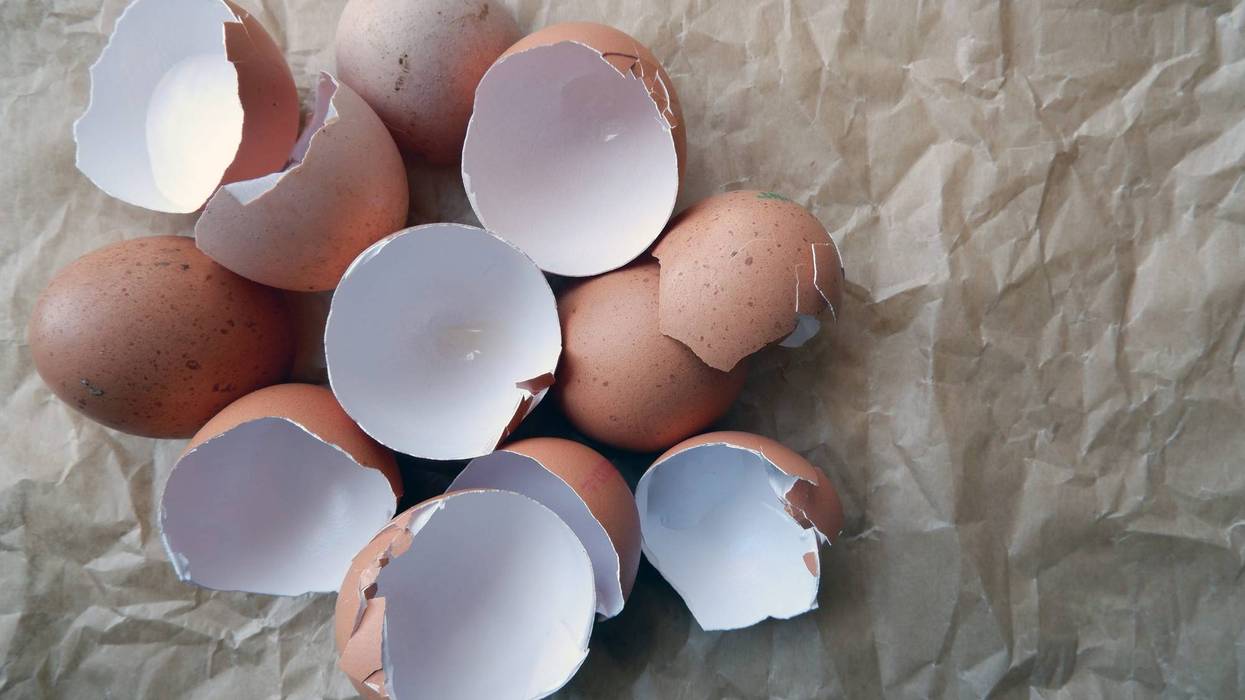cracked eggshells