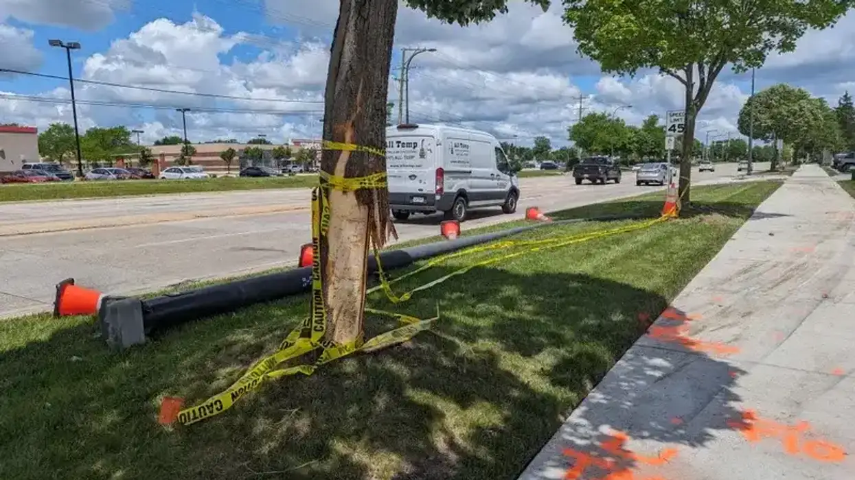 crash scene with damaged tree, downed light pole