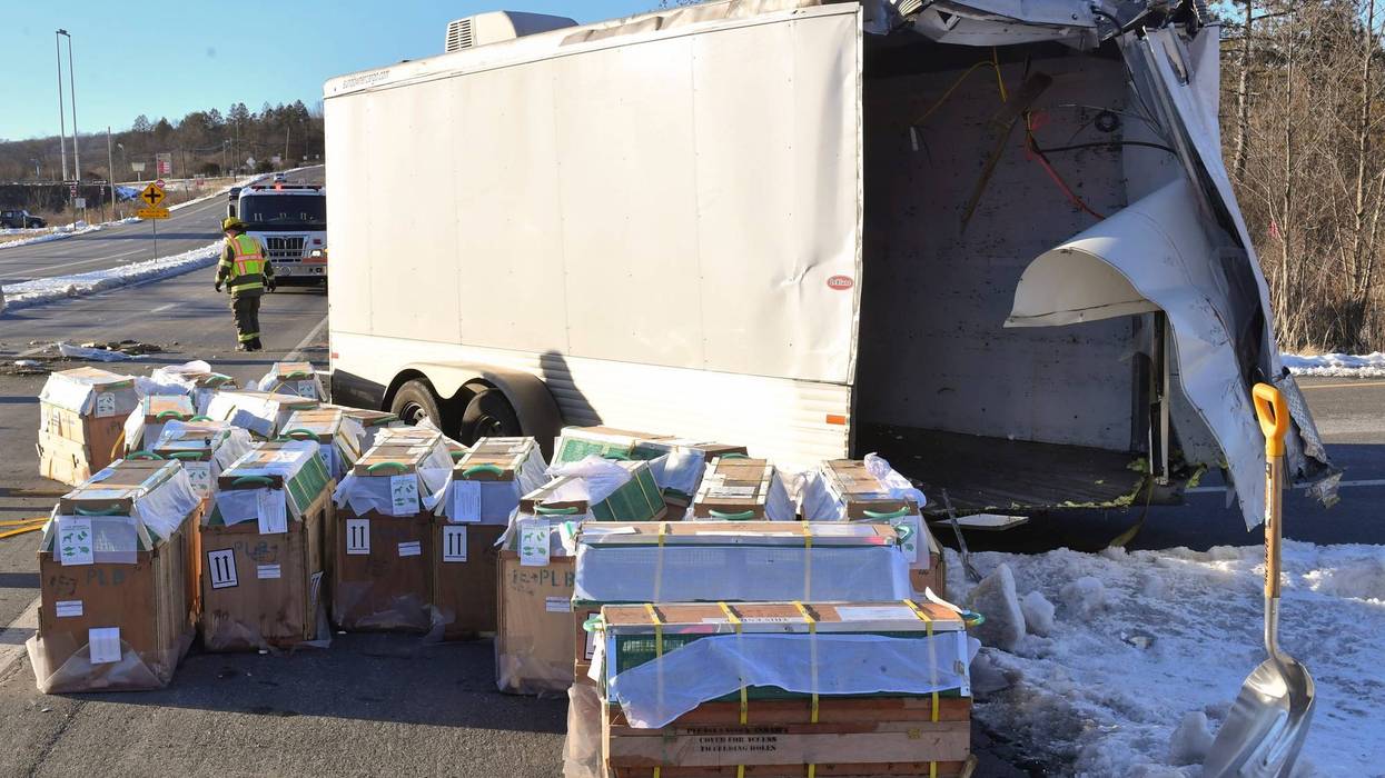 Crates holding live monkeys are collected next to the trailer they were being transported in along state Route 54 at the intersection with Interstate 80 near Danville, Pa., Friday, Jan. 21, 2022, after a pickup pulling the trailer carrying the monkeys was hit by a dump truck. They were transporting 100 monkeys and several were on the loose at the time of the photo.