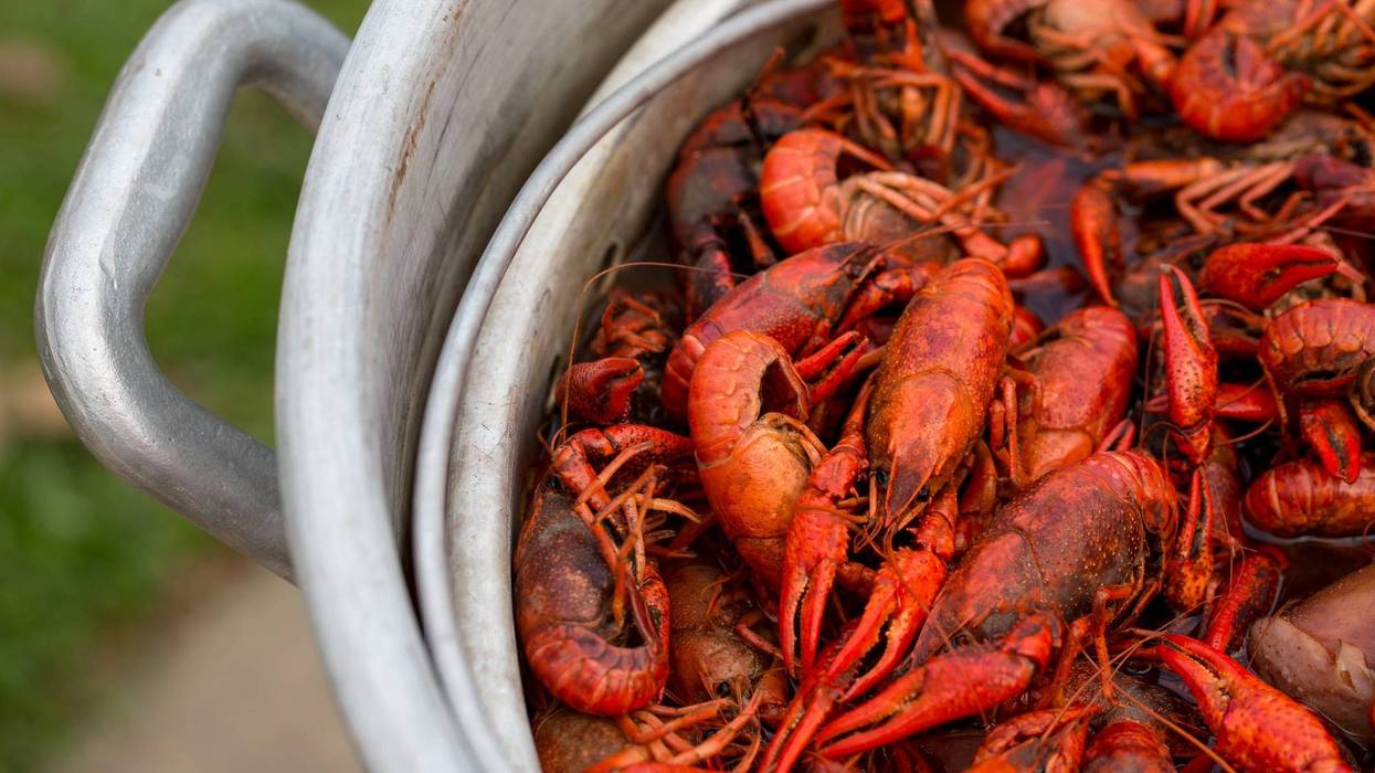 Crawfish