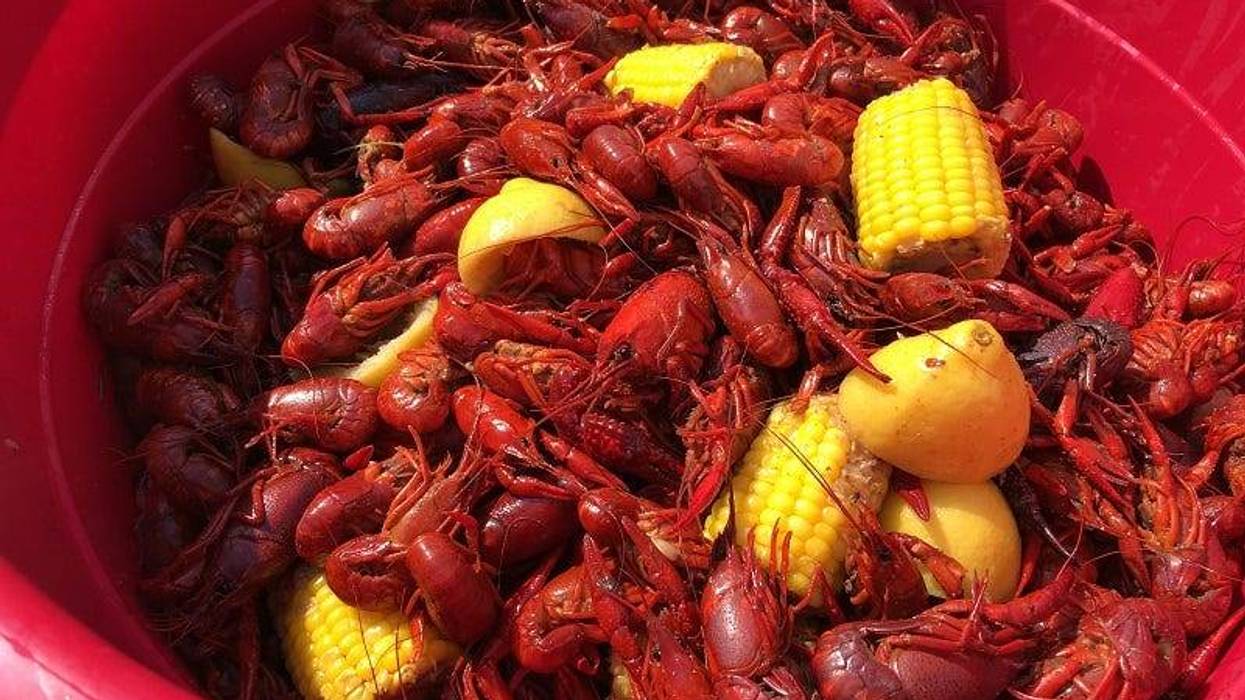 Crawfish