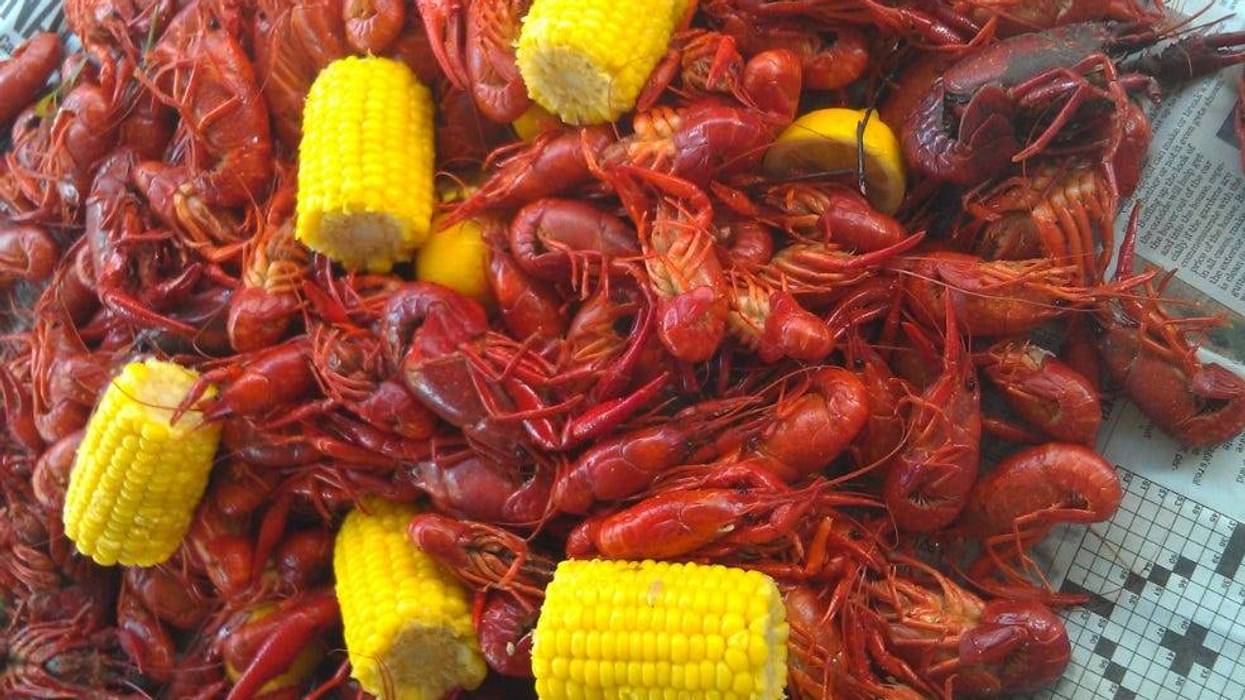 Crawfish