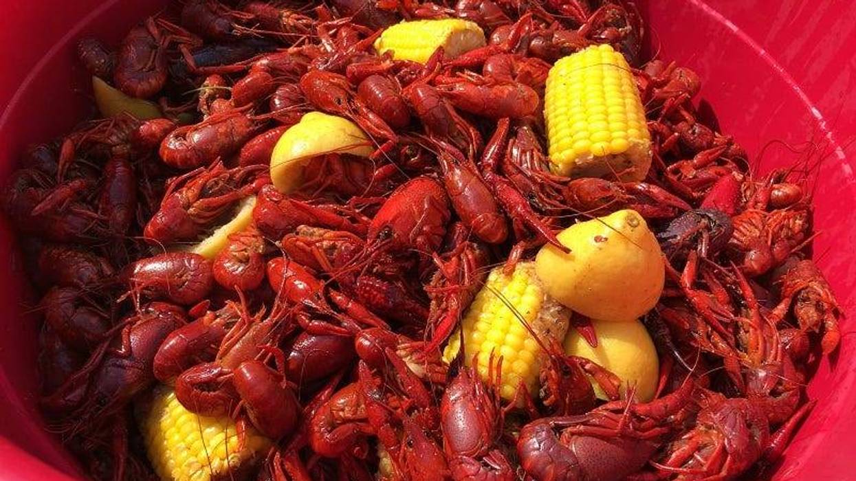 Crawfish