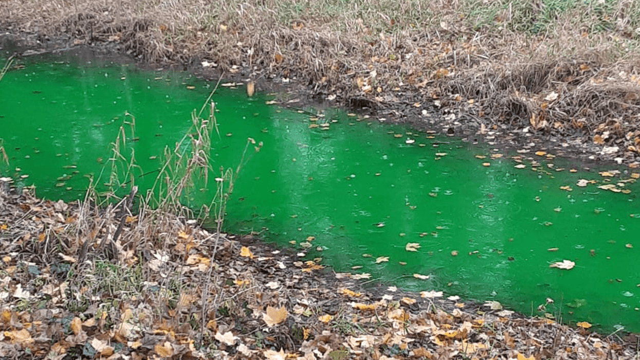 Creek turns green in Clinton Township