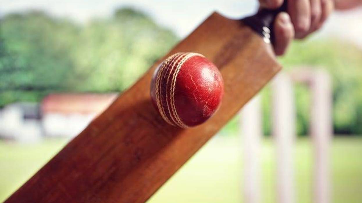 Cricket