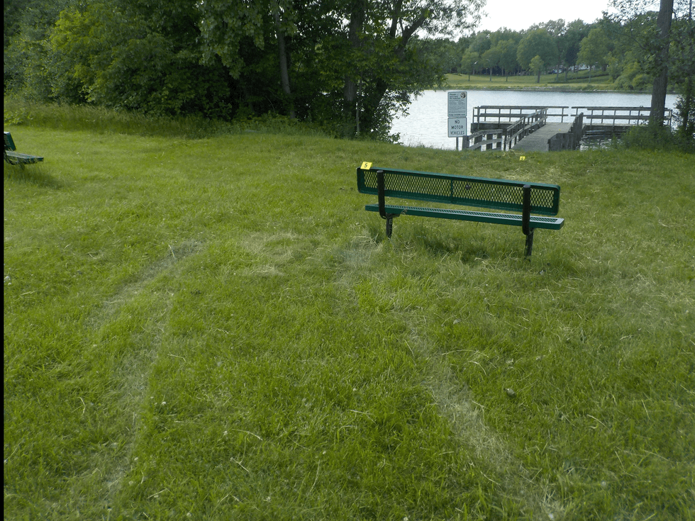 Crime scene near Osmun Lake
