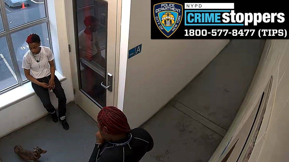 CRIMEN NYC