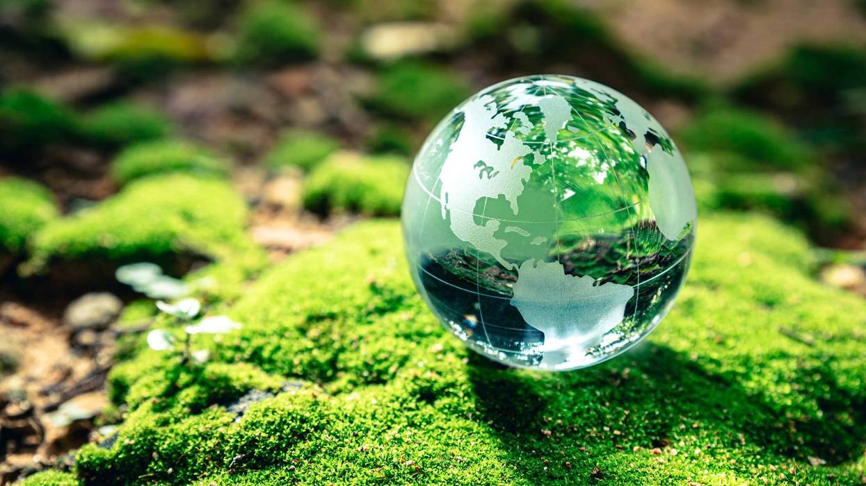 Crystal Globe On Moss
