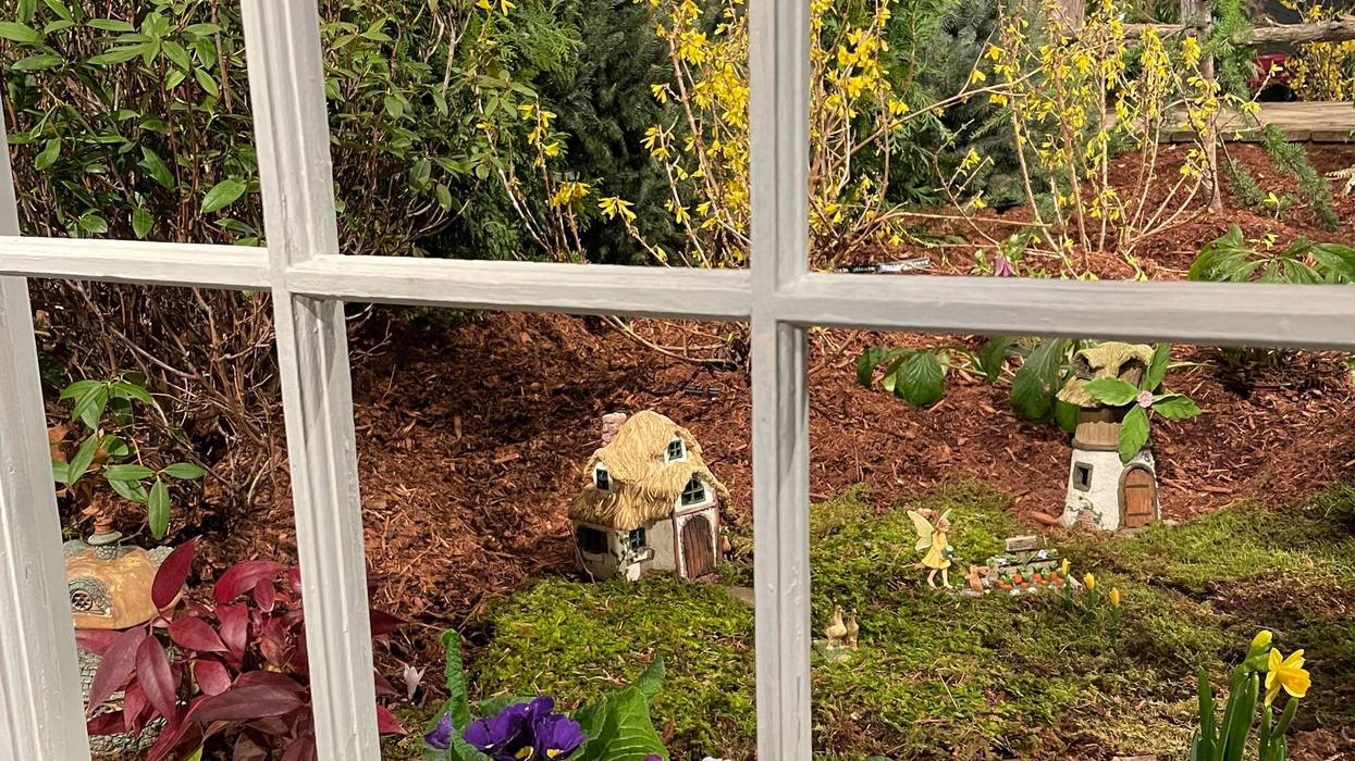 CT Flower and Garden Show