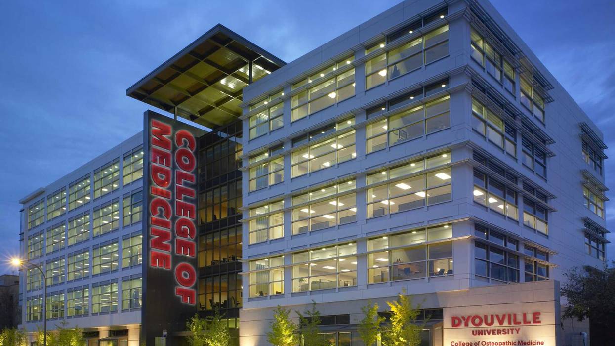 D'Youville enrollment