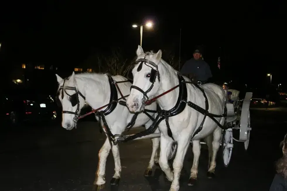 Daddy Daughter Dance 2019