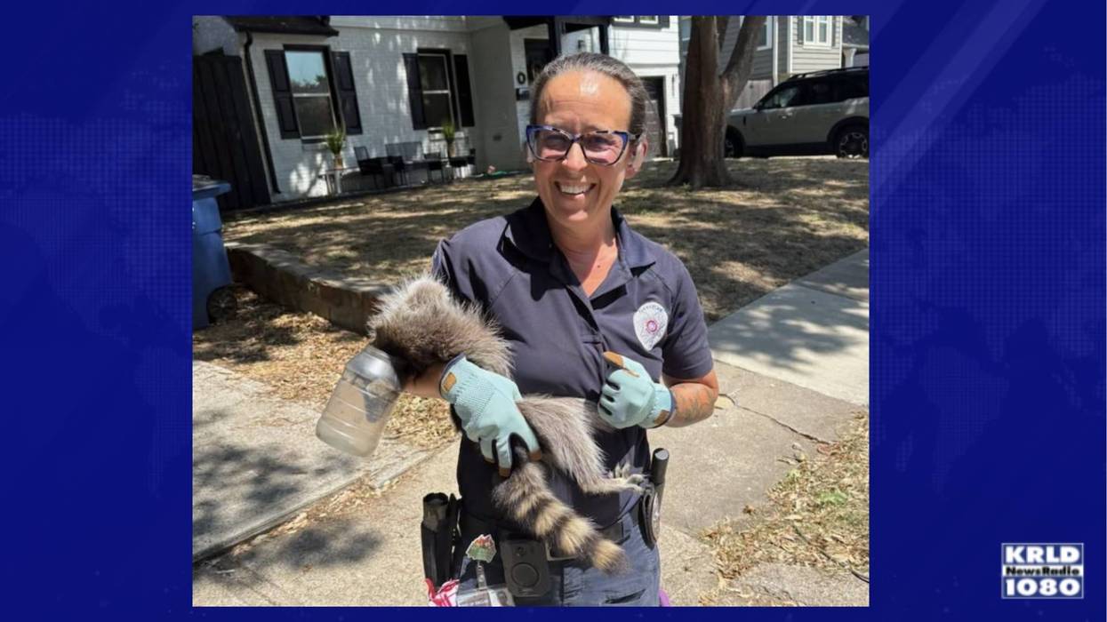 Dallas Animal Services rescues Raccoon with jar stuck on it's head
