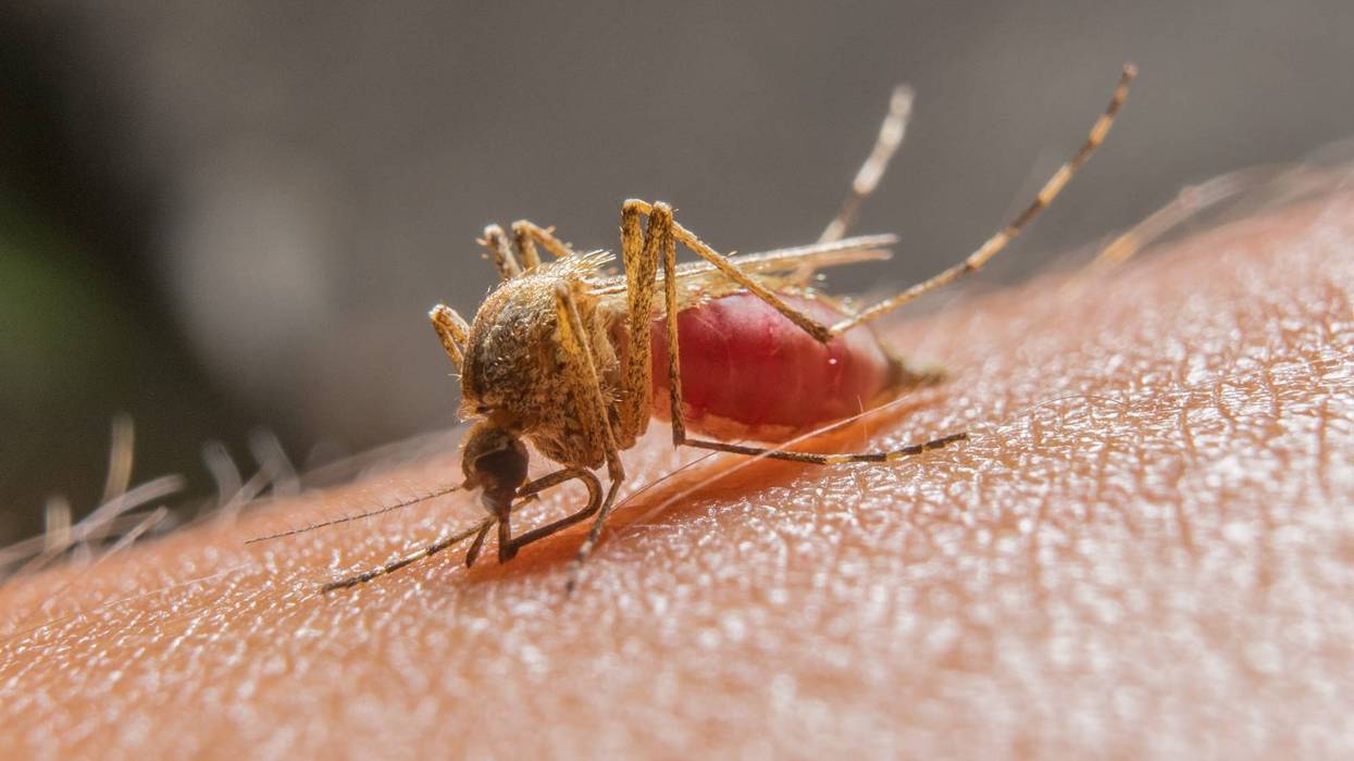 Dallas County officials have confirmed the season’s first human case of West Nile virus — a man in his early 40s diagnosed with a non-neuroinvasive form of the disease.