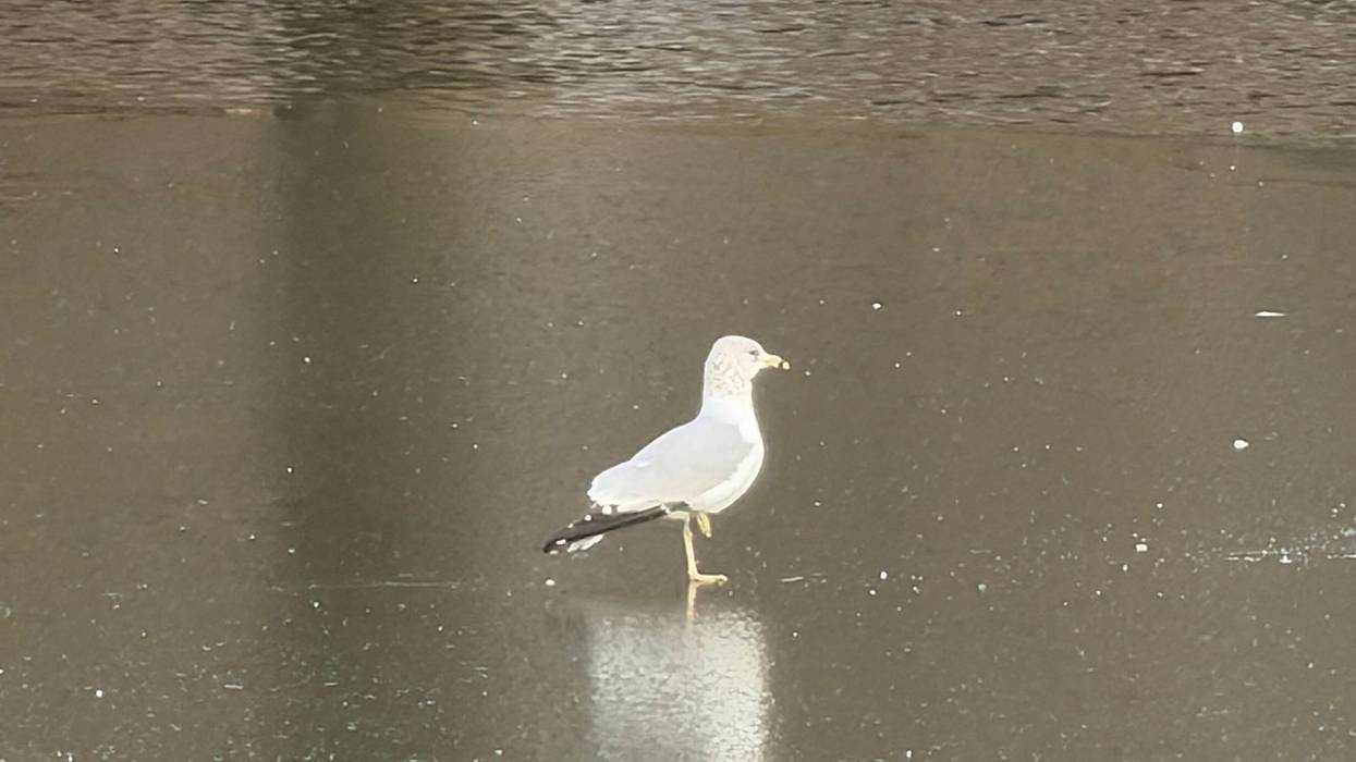 Dallas ISD is expected to reopen schools Wednesday following a two-day closure prompted by extreme cold and hazardous road conditions across North Texas.