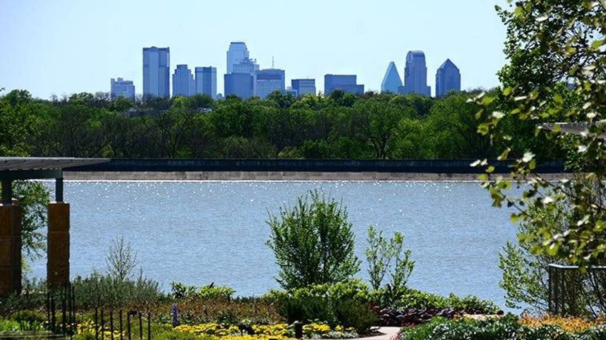 Dallas Skyline