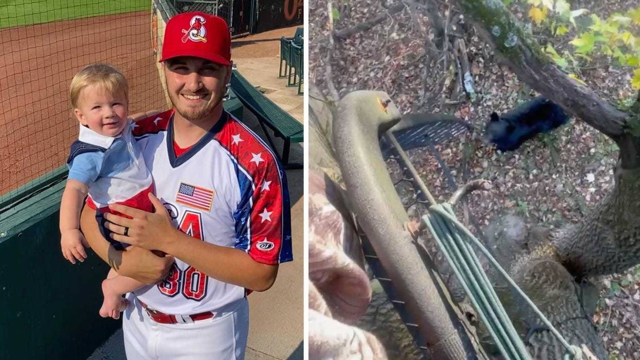 Dalton Roach of Springfield Cardinals, pic of bear that bit him