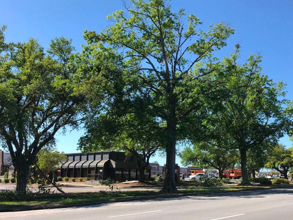 Damage along Wade Hampton Blvd