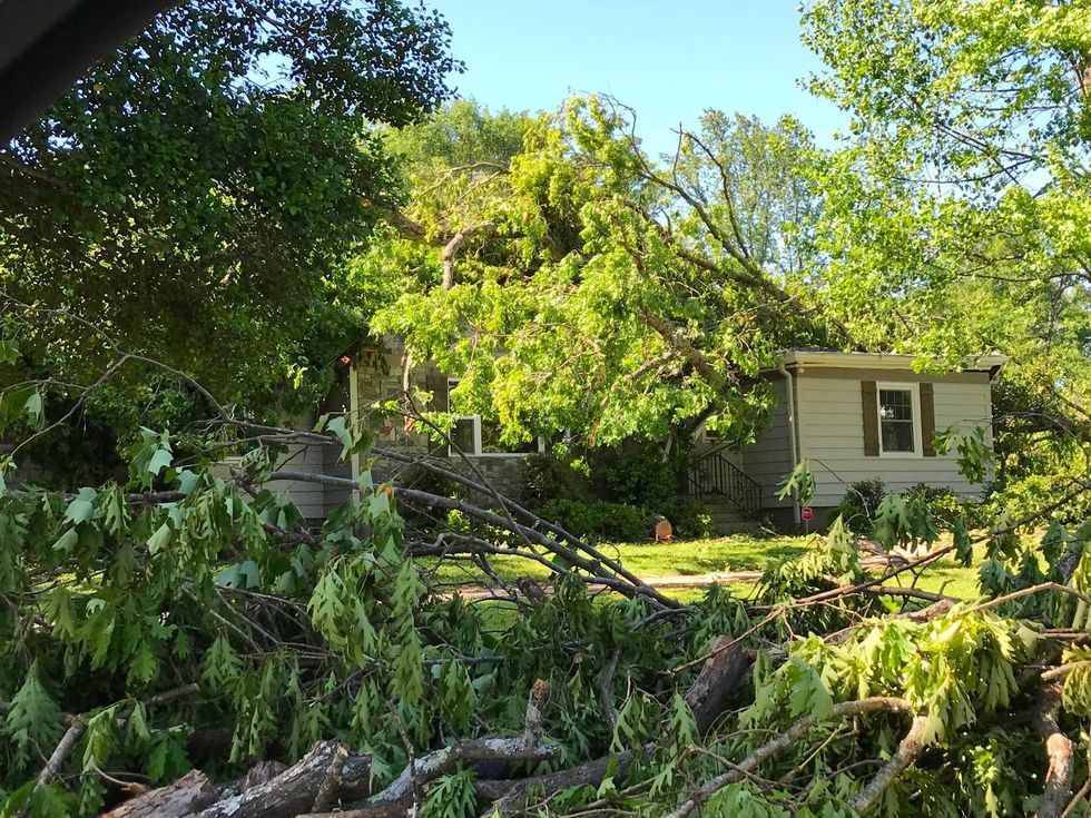 Damage Near Botany Woods
