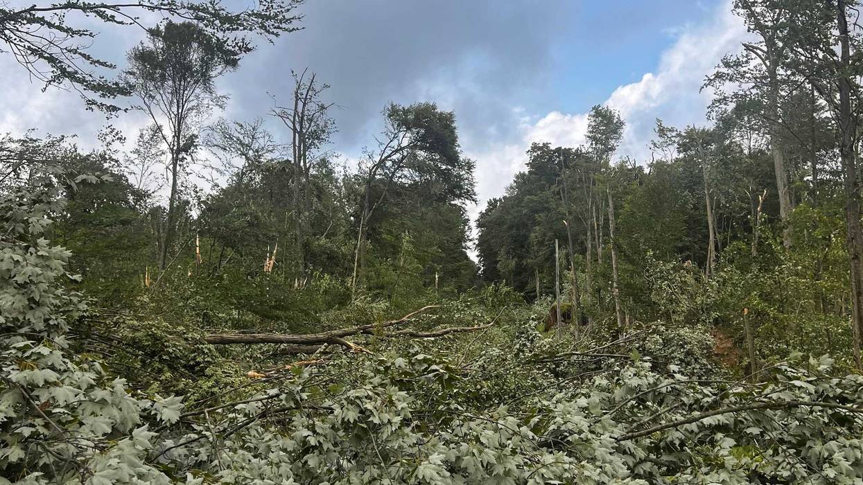 Damaged caused by the EF-2 Tornado