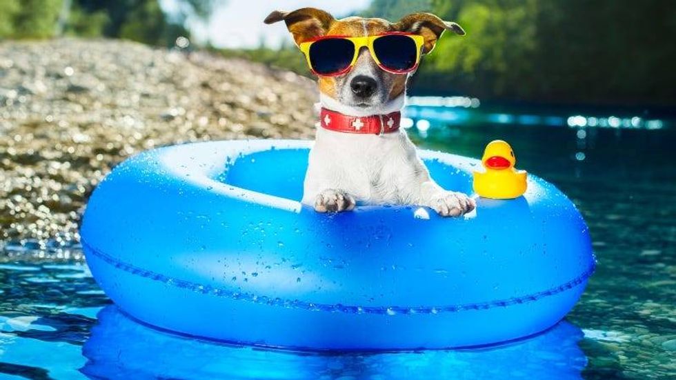 damedeeso /Getty Images