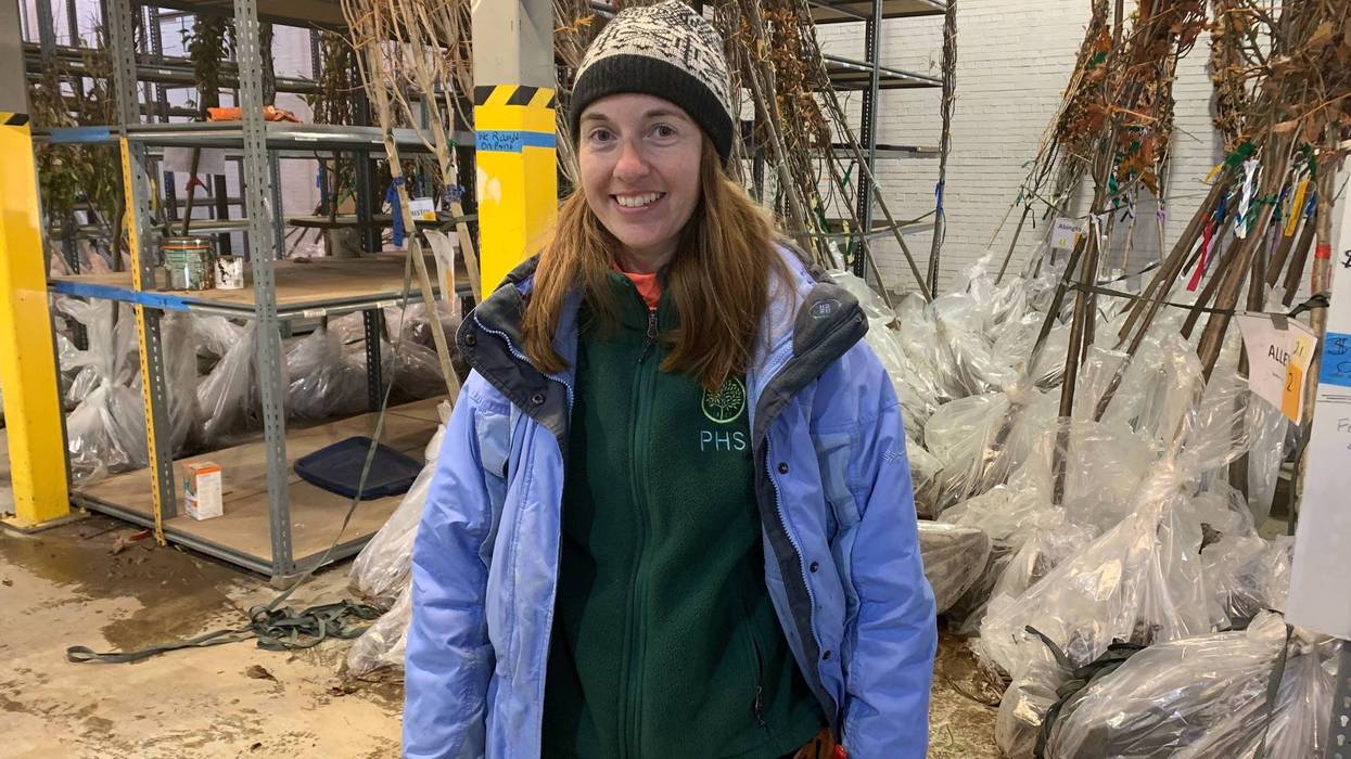 Dana Dentice, Pennsylvania Horticultural Society urban forestry program manager, poses with trees to be planted over the weekend.