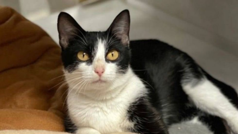 Dani @ Austin Humane Society 1/18/ 23