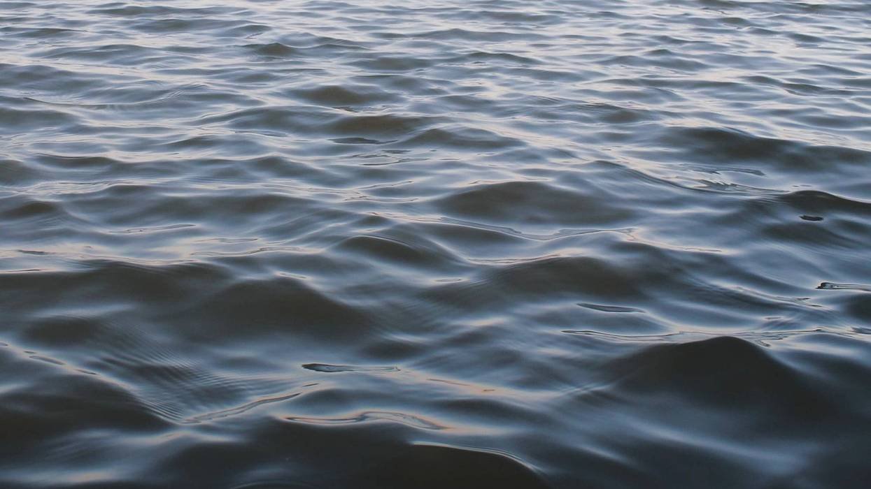 Dark rippling water surface with subtle reflections.