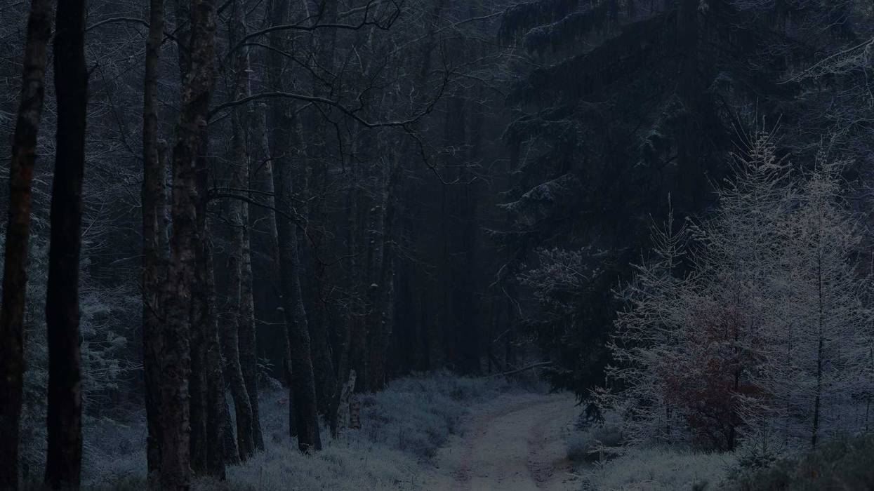 Dark Snowy Road