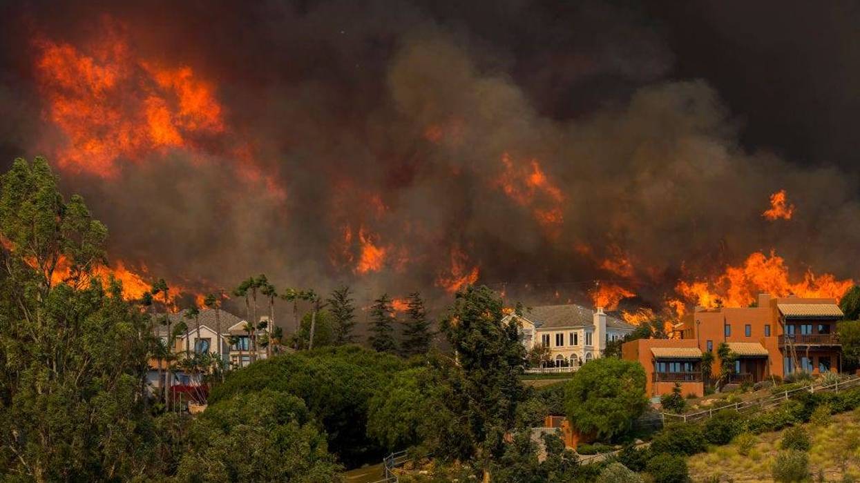 David McNew/Getty Images